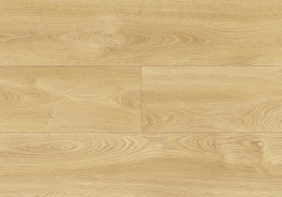 Dominican Oak colour