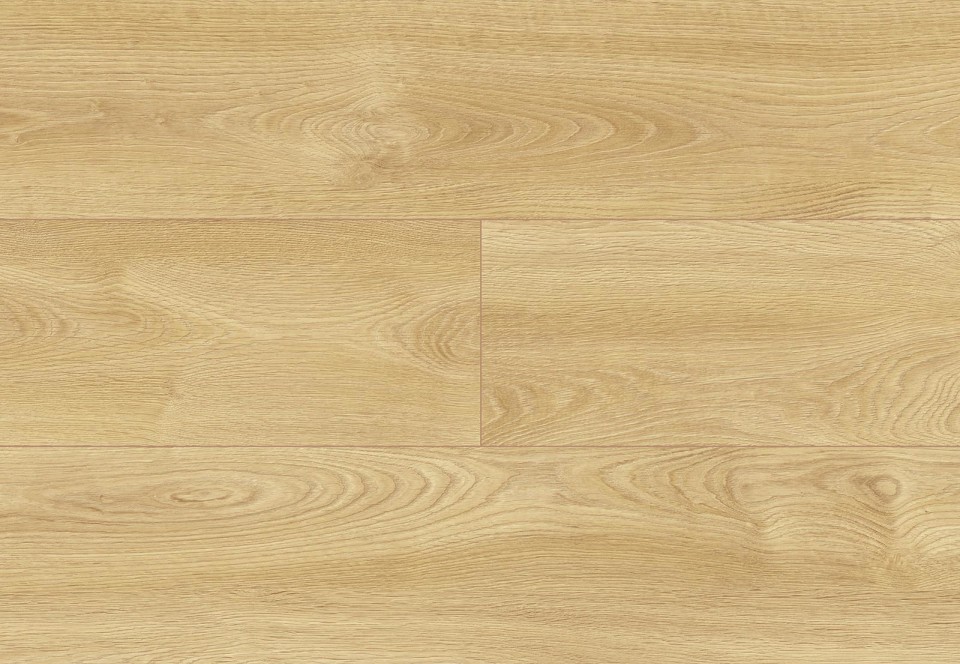 Dominican Oak colour