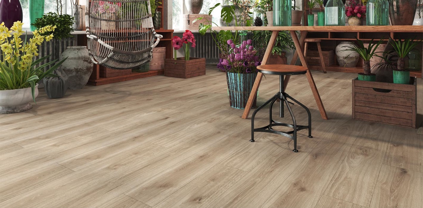 venice oak3