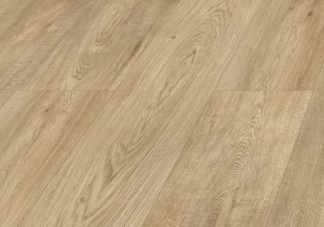Galaxy Oak colour