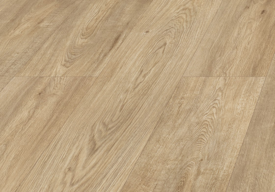 Galaxy Oak colour