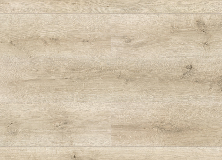 Capricorn Oak colour
