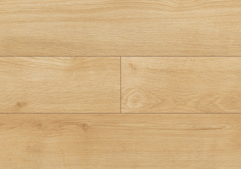 Japanese Oak colour