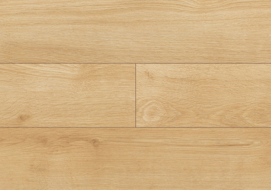 Japanese Oak colour