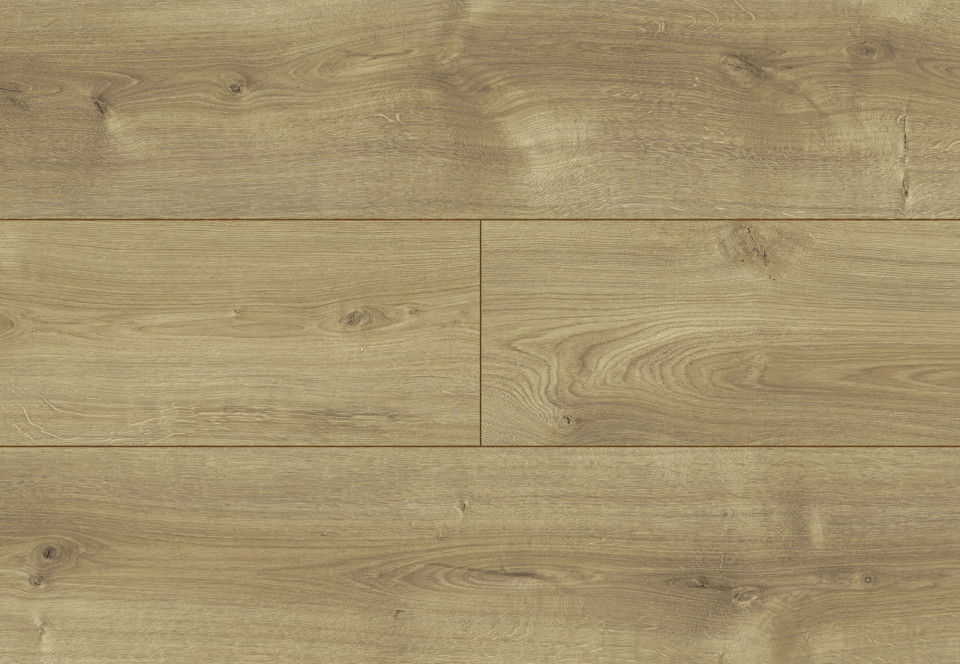 Musical Oak colour
