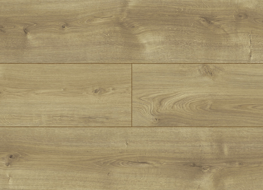 Musical Oak colour