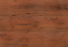 Blues Chestnut colour
