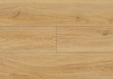 Legato Oak colour