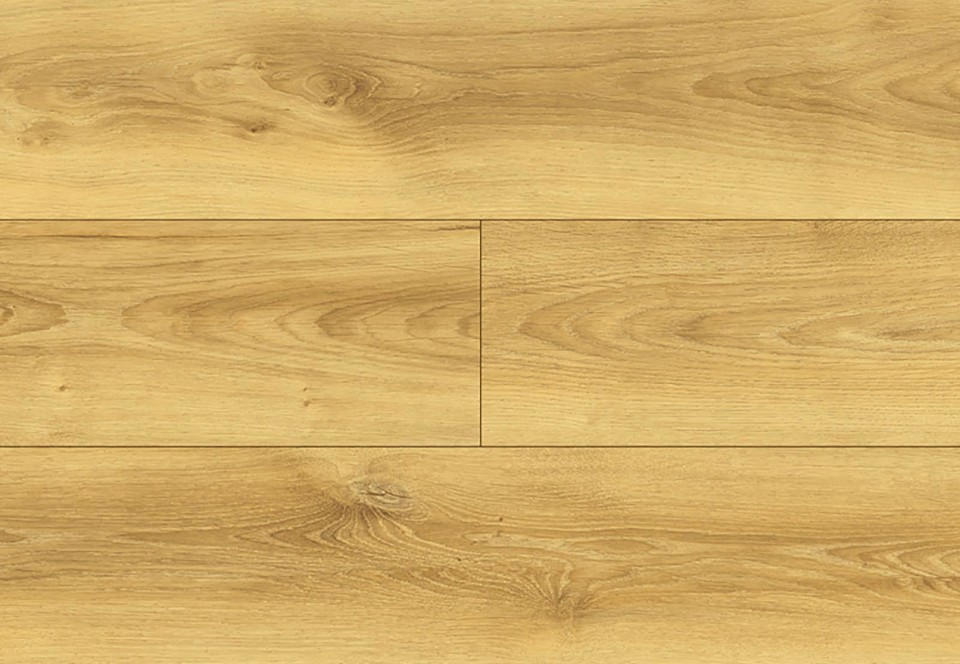 Coletta Oak colour