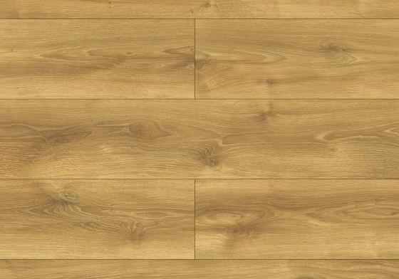 Alodia Oak colour