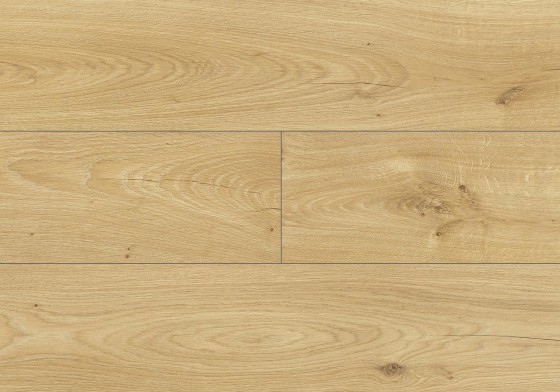 Makaria Oak colour