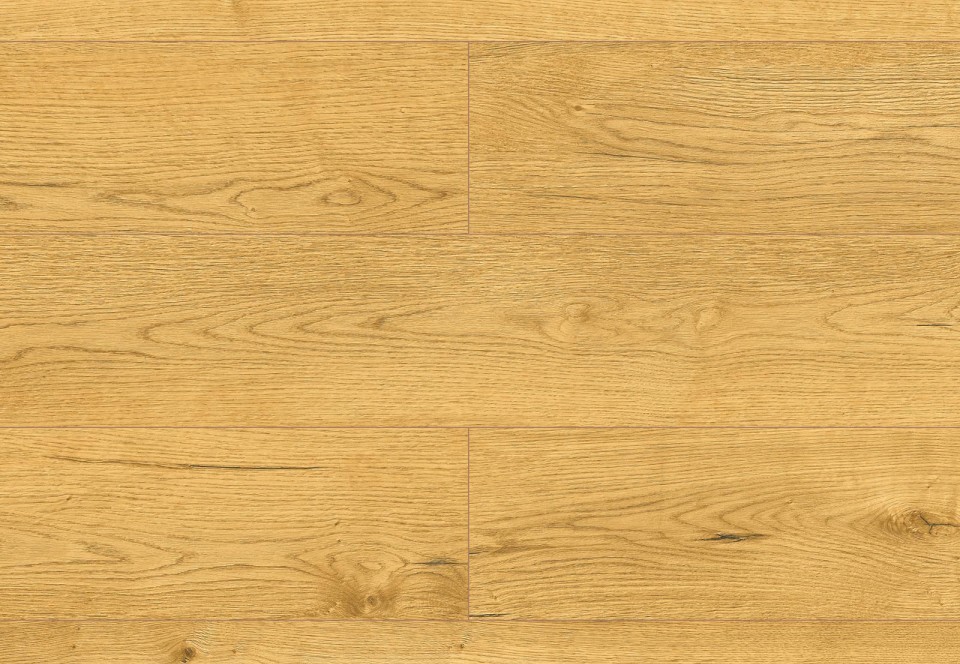 Lemonia Oak colour