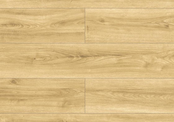 Condor Oak colour