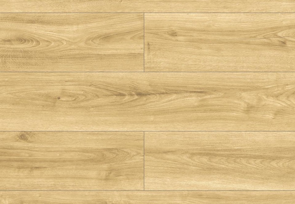 Condor Oak colour