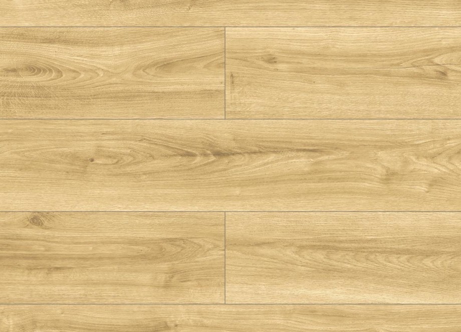 Condor Oak colour
