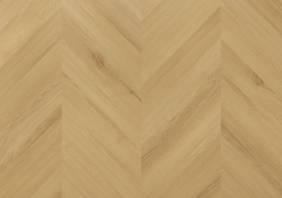 VIRGIN OAK colour
