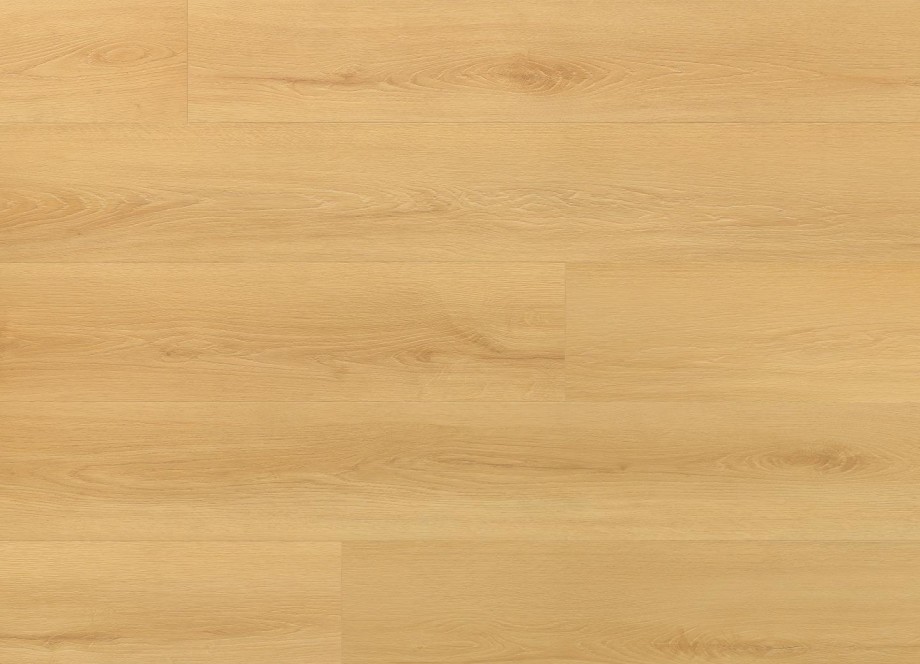 VIRGIN OAK colour
