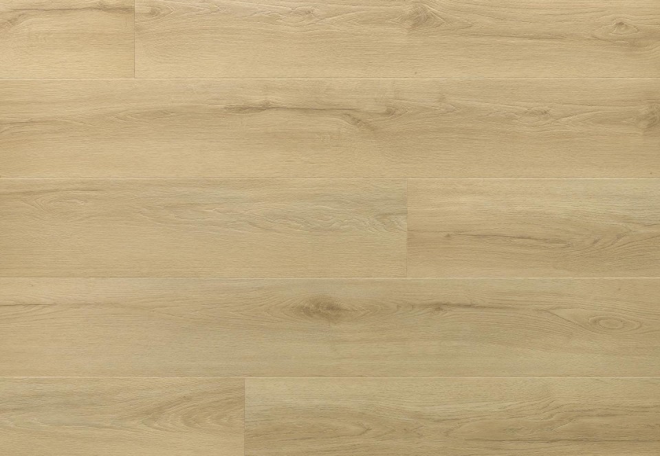 PRINCETON OAK colour