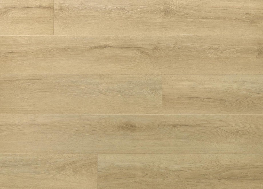 PRINCETON OAK colour